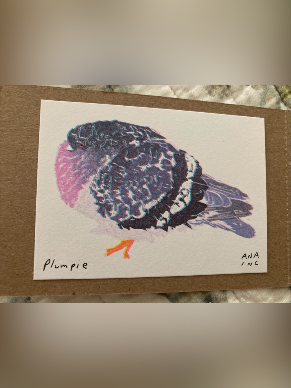 Ana Inciardi mini prints - Plumpie Pigeon - Casa Magazines Vending Machine NYC